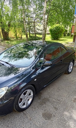 Peugeot 307 CC cena 10500 przebieg: 246821, rok produkcji 2004 z Radom małe 46